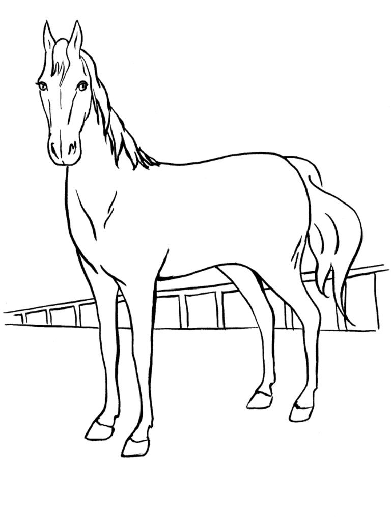 Disegni da colorare i cavalli for Immagini di cavalli da disegnare