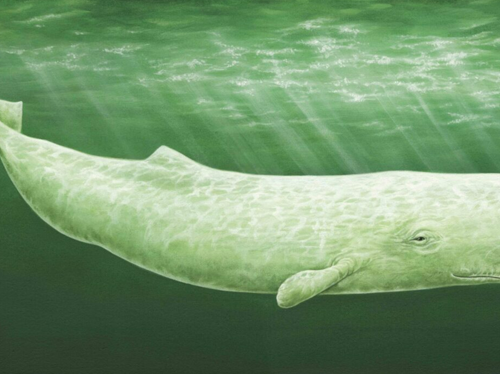 Moby Dick, o la balena: l’audiolibro del grande classico