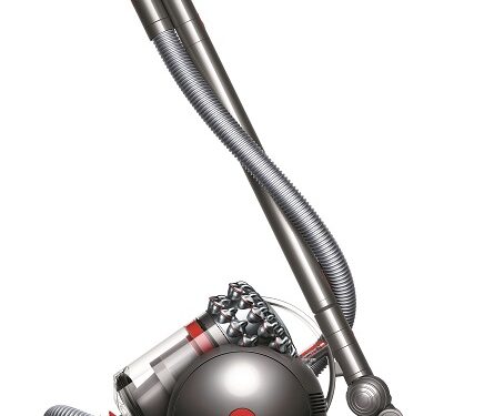 Dyson cinetic Big Ball: what else?